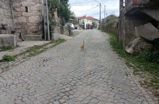 Residência Binaural — PH: Franco Falistoco