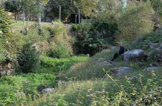 Residência Binaural — PH: Nely Ferreira