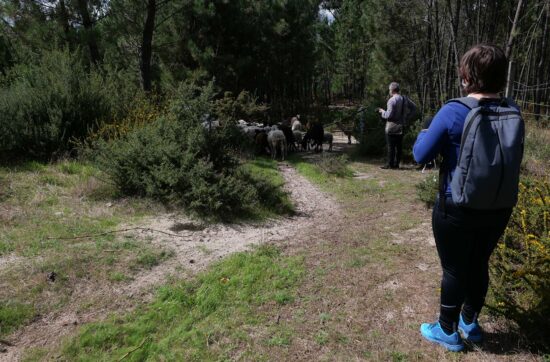 Residência Binaural — PH: Nely Ferreira